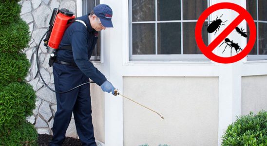 Limontepe Bit İlaçlama böcek ilaçlama ve haşere kontrolü — ilaclama-tr.com